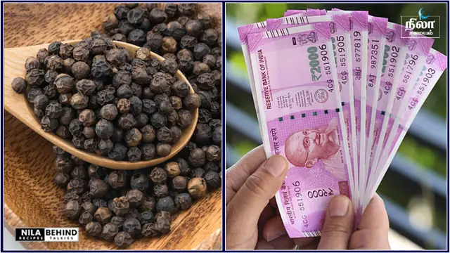 உங்களுக்கு வறுமை, பண கஷ்டம் தரும் கண் திருஷ்டியே ஒரே அடியாக போக்க சிறிது மிளகு இருந்தால் போதும்!