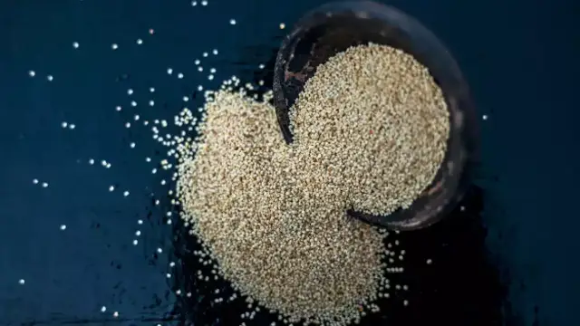 வீட்டில் இருக்கும் கொஞ்சம் பணமும் அதிகளவில் பெருகி கொண்டே இருக்க உங்களிடம் கசாகசா இருந்தால் போதும்!