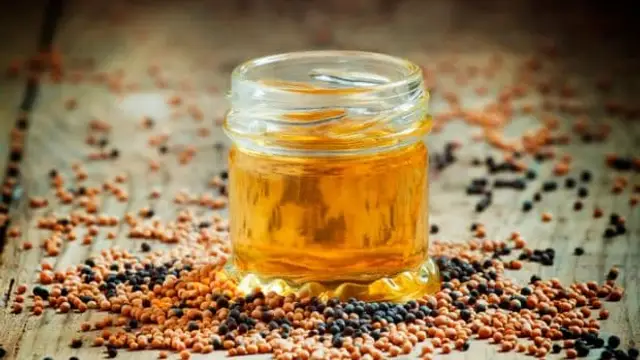 कुकिंग में करें इन 4 तेलों का इस्तेमाल, कभी नहीं होंगे दिल की बीमारी का शिकार