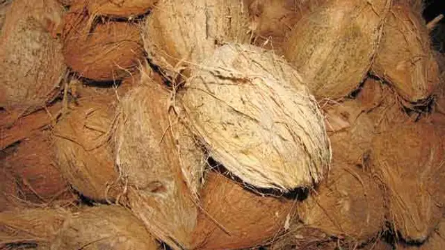 வீட்டில் உள்ள தீய சக்திகள் விலக செய்ய வேண்டிய பரிகாரம்!!