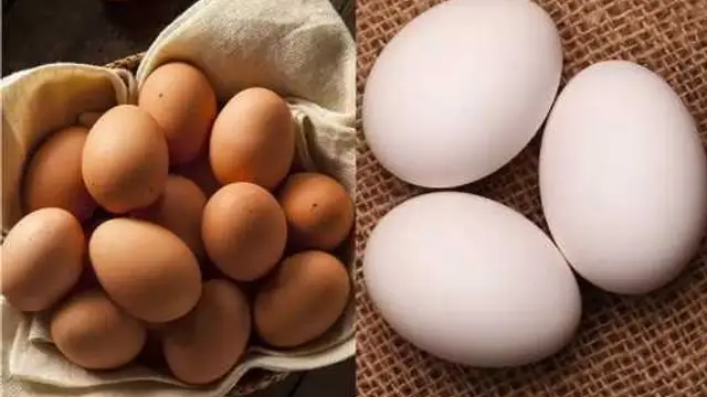 क्या प्रेग्नेंसी में खाना चाहिए अंडा? जानिए क्या कहते हैं एक्सपर्ट