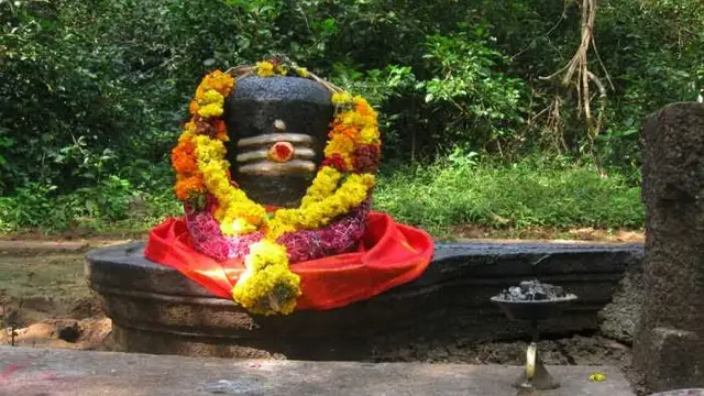 शिवलिंग के आगे करें ये उपाय, बरसेगी भगवान शिव और मां लक्ष्मी की कृपा