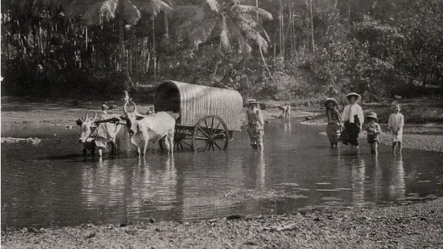 பூனை குறுக்கே வந்தால் அபசகுணம் இல்லையா ? இவ்வேளா விஷயம் இருக்கா!