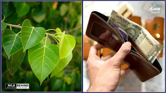 மீளவே முடியாத கடன் தொல்லையிலிருந்து மீண்டுவர இந்த 1 தீபம் மட்டும் ஏற்றுங்கள் போதும்!