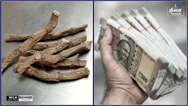 வீட்டில் பண வரவை அதிகரிக்க கூடிய ஒரு சக்திவாய்ந்த பொருள்! இந்த பொருள் வீட்டில் இருந்தால் மட்டும் போது!