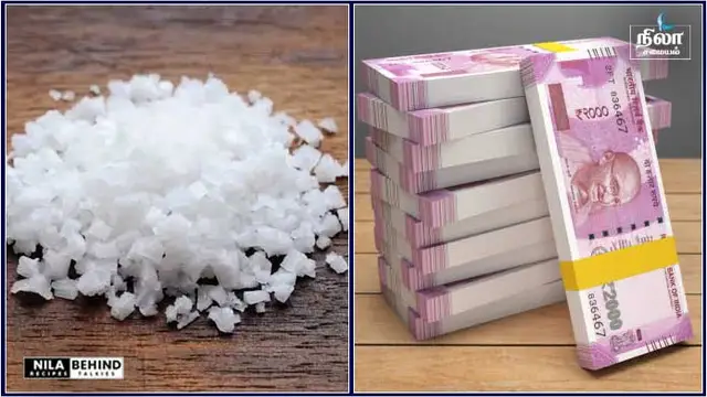 வீட்டில் பணத்தை பெருக்கி, துர் சக்திகளை வெளியேற்ற இந்த ஒரு பொருள் போதும்!