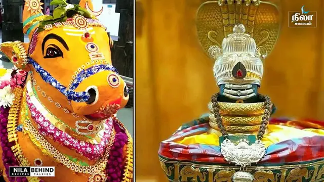 சிவனை எந்த கிழமையில், எந்த நேரத்தில் வழிபட்டால், என்ன பலன் கிடைக்கும் என்று பார்க்கலாம்!!