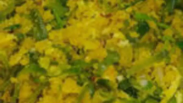 அவரைக்காய் பருப்பு உசிலி இந்த மாதிரி செஞ்சு பாருங்க சட்டுனு காலி ஆகிடும்!