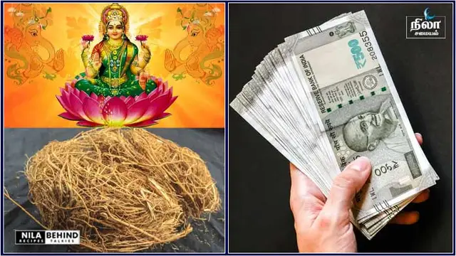 வீட்டில் பண வரவை அதிகரிக்கச் செய்யும் வெட்டிவேர்