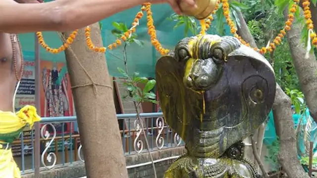 இந்த ஆண்டு நாக பஞ்சமி எப்போது? எந்த நேரத்தில் மற்றும் எப்படி வழிபட்டால் நாக தோஷம் நீங்கும்!