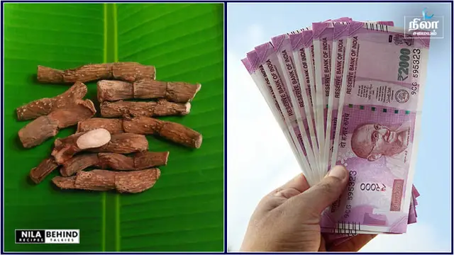 இந்த ஒரு பொருளை மணலில் புதைத்தால் போதும்! அதிர்ஷ்டம் வீடி தேடி வரும்!