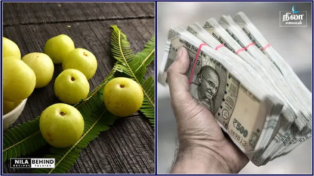 இந்த நாளில் மட்டும் தங்கம் வாங்கி பாருங்கள்! உங்களை விட அதிர்ஷ்டசாலிகள் யாரும் இருக்கமாட்டார்கள்!