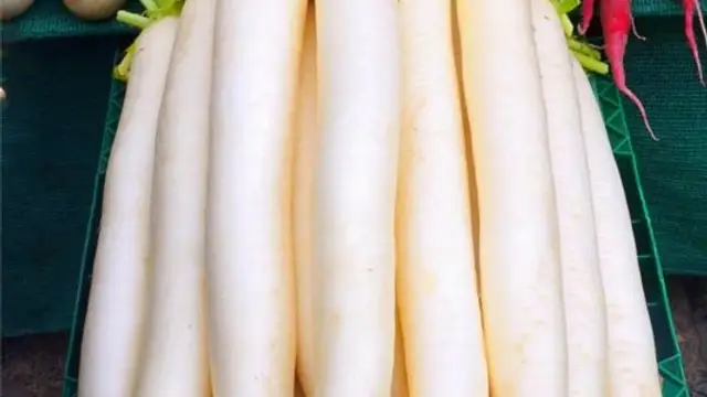 benifts of radish and curd