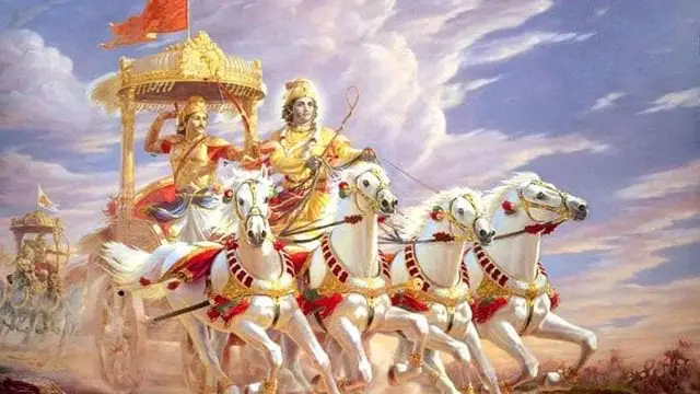 பூனை குறுக்கே வந்தால் அபசகுணம் இல்லையா ? இவ்வேளா விஷயம் இருக்கா!