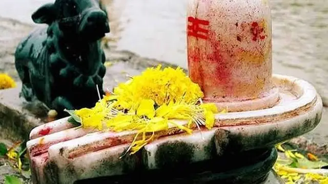 சிவலிங்கத்திற்கு இந்த பொருட்களை கொண்டு அபிஷேகம் செய்தால் சகல விதமான நன்மைகளும் கிடைக்கும்!!