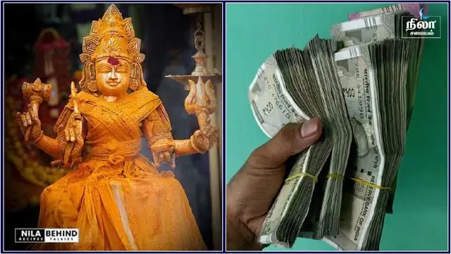இந்த ஒரு பொருள் வீட்டில் வைத்தால் போதும்! அதிர்ஷ்டமும், பணமும் வீடு தேடி வரும்!