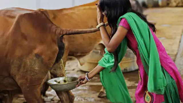 தீரா கடனும் தீர்ந்து போக இந்த தண்ணீரை மட்டும் உங்கள் வீட்டில் தெளித்துக் கொண்டே இருங்கள் !