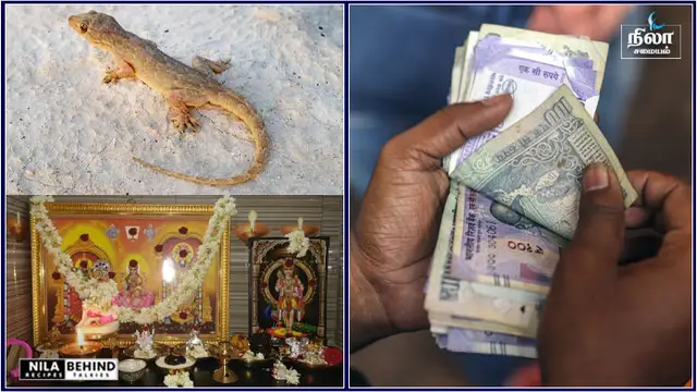 உங்கள் கனவில் அடிக்கடி பல்லியை காண்கிறீர்களா? கனவில் பல்லியை காண்பதற்கு இது தான் அர்த்தமாம்!!