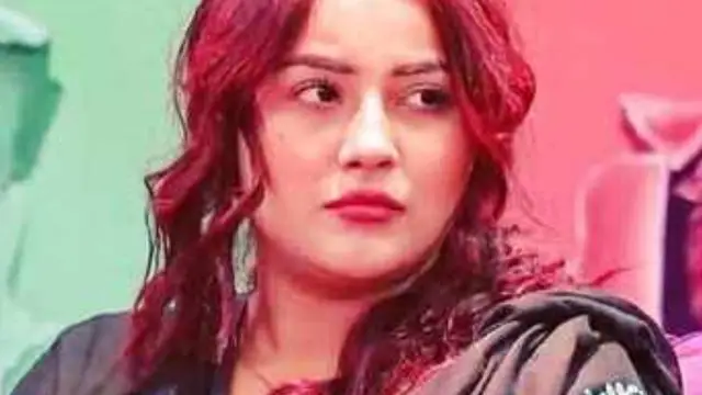 Happy Birthday Shehnaaz Gill: ‘पंजाब की कटरीना’ से शहनाज कैसे बनीं ‘देश की धड़कन’? सिद्धार्थ शुक्ला संग मिलने के बाद इतनी बदल गई थी एक्ट्रेस की लाइफ