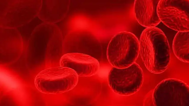 इस तरह से करें ‘किशमिश’ का सेवन, मिलेंगे चमत्कारी फायदे