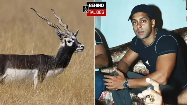 सलमान खान से हाई कोर्ट ने मांगा जवाब, काला हिरण मामले में मेकर्स बोले- दो मुकदमे चलाना ठीक नहीं