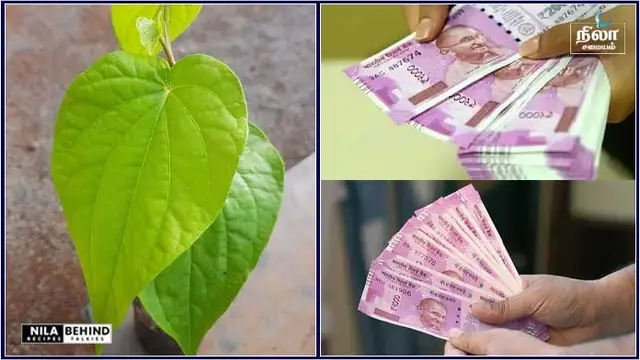 பணவரவை அதிகரிக்க செய்ய வேண்டிய வெற்றிலை பரிகாரம்!!