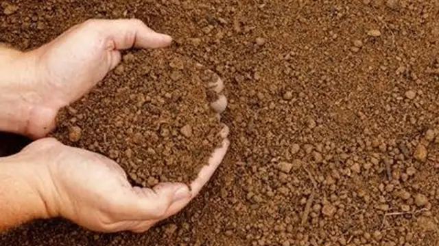 பணம் பெருக செய்ய வேண்டிய மண் பரிகாரம்!