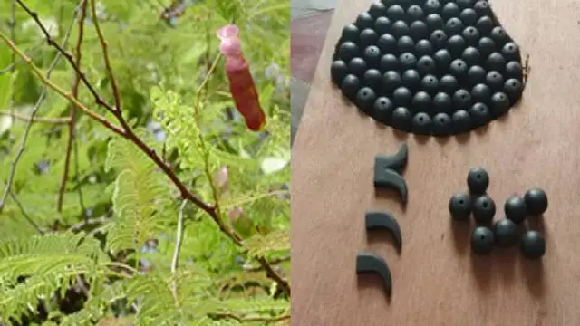 கருங்காலி மாலை அணிய வேண்டிய ராசிக்காரர்கள்