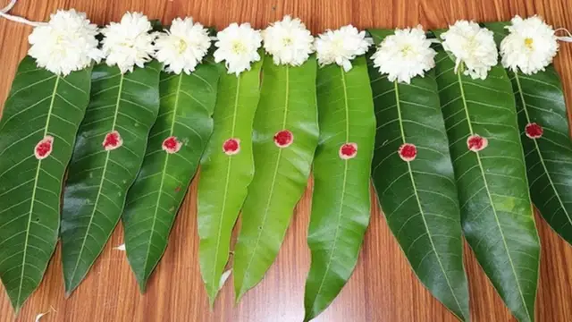 வீட்டு வாசலில் இதை மட்டும் வைத்தால் பணம் அதிக அளவு பணம் சேருமாம் ட்ரை பண்ணி பாருங்க!