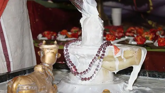 கையில் 10 பைசா இல்லாதவனிடம் கூட கை நிறைய பணம் சேர வேண்டுமா ? இந்த ஒரு பொருள் கையில் இருந்தால் போதும்!