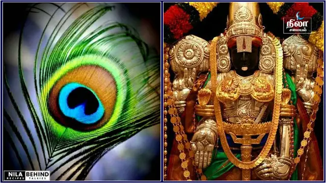 இந்த பொருள் உங்கள் வீட்டில் இருந்தால் அதிர்ஷ்டம் தேடி வரும்!