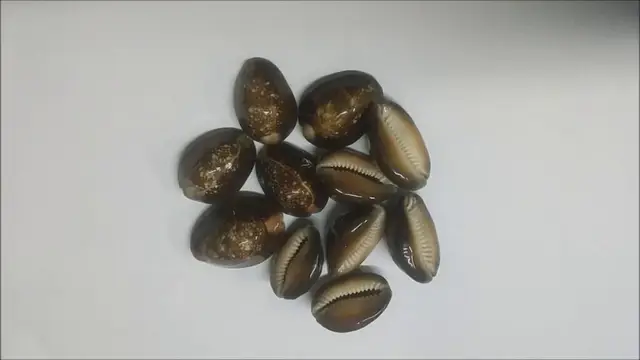 உங்களிடம் பணம் இல்லை என்ற சூழ்நிலையே வராமல் இருக்க வேண்டுமா ? இந்த இரண்டு பொருள்கள் இருந்தால் மட்டும் போதும்!