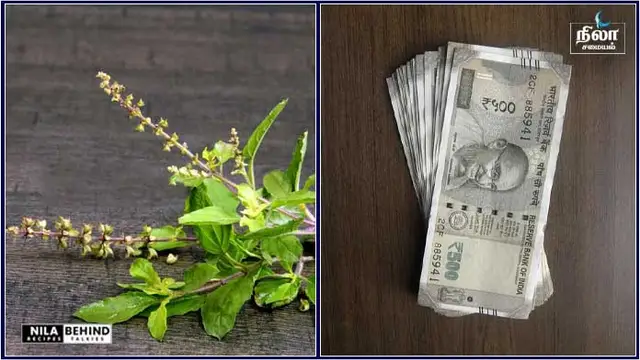 வட்டி மட்டும் கட்டும் நீங்கள் கடன் பிரச்சனையில் இருந்து மீள! இந்த ஒரு செடி வீட்டில் இருநதால் மட்டும் போதும்!