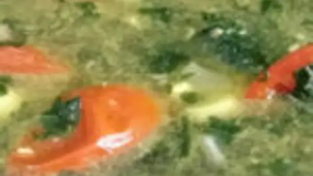 மண்மணம் மாறாமல் பாரம்பரிய சுவையில் மணத்தக்காளி தண்ணீர் சூப் இப்படி செய்து பாருங்க! இதன் ருசியே ருசி தான்!