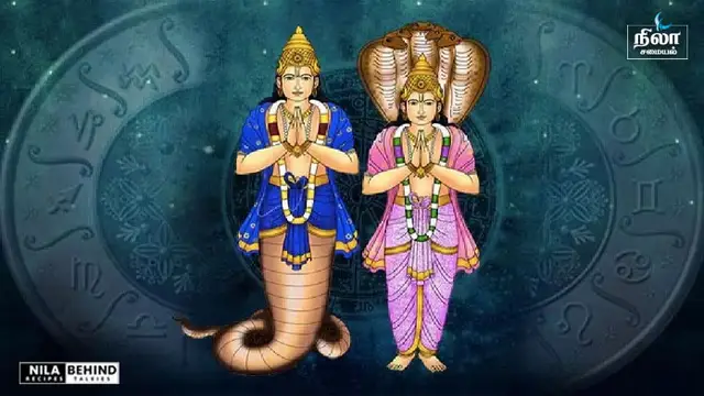 ராகு கேது பெயர்ச்சியால் இனி  வெற்றி கனியை மட்டும் ருசிக்க போகும் ராசிக்காரர்கள் இவர்கள் தான்!