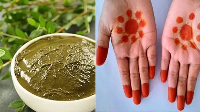 மருதாணியை பெண்கள் எதற்காக வைத்துக் கொள்கிறார்கள் என்ற ரகசியத்தை இந்த பதிவில் தெரிந்து கொள்ளலாம்!