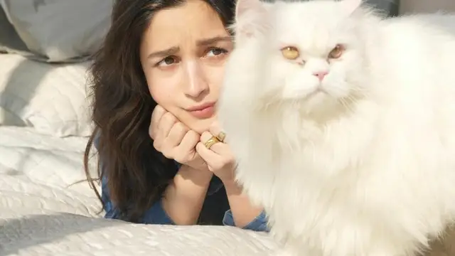 Alia Bhatt New Photos: आलिया ने शेयर की क्यूट फोटोज, लिखा- ‘संडे हैप्पी’