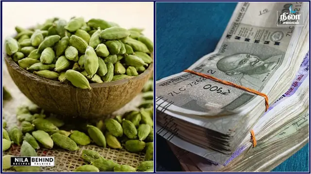இந்த மூன்று பொருட்கள் மட்டும் உங்கள் வீட்டில் இருந்தால் போதும் பணத்தை ஈர்த்து கொண்டே இருக்கும்!