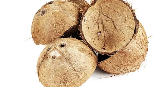 ஒரு கொட்டாங்குச்சி இருந்தால் போது பணம் கொட்டி கொண்டே இருக்கும் உங்கள் வீட்டில்!