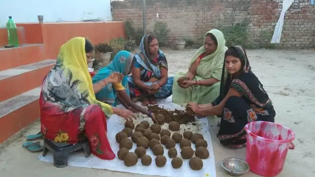 Success Story: महिलाओं के लिए मिसाल हैं उत्तर प्रदेश की किसान पूनम सिंह, गोबर से कमा रही लाखों रुपये