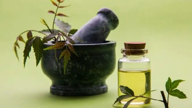 सुंदर और घने बालों के लिए अपनाए ये बेस्ट हेयर केयर टिप्स, 10 दिनों में दिखेगा असर