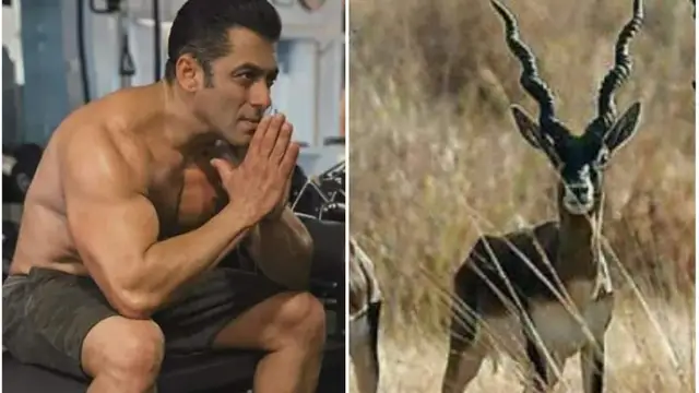 सलमान खान से हाई कोर्ट ने मांगा जवाब, काला हिरण मामले में मेकर्स बोले- दो मुकदमे चलाना ठीक नहीं