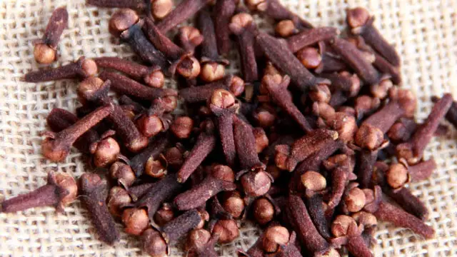 அள்ள அள்ள குறையாத அளவிற்கு உங்களிடம் பணமும், செல்வம் சேர! இந்த ஒரு மாலை ரெடி பண்ண போதும்!