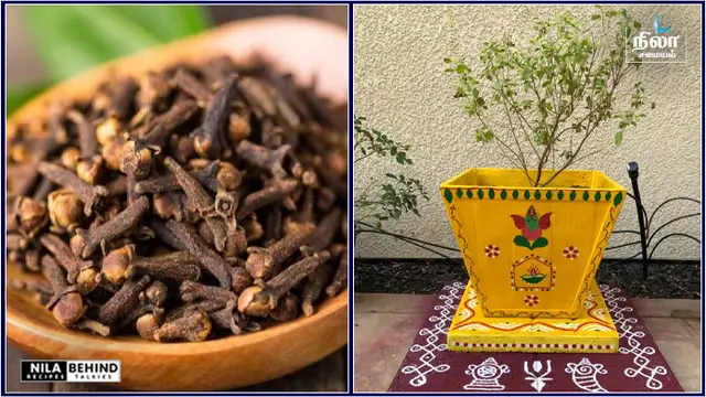 இந்த 3 பொருளும் ஒன்றாக உங்கள் வீட்டில் இருந்தால் போதும்! தங்கம் சேர்ந்து கொண்டே இருக்கும், அடகு வைத்த நகையை கூட மீட்கலாம்!