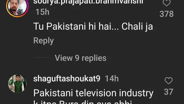 Ayesha Khan के पाकिस्तानी शोज में काम करने इच्छा से नाराज हुए यूजर्स, जमकर किया Troll!