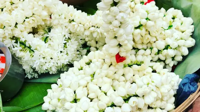மல்லிகை பூ வாடாமல் வதங்காமல் இருக்க பூக்கடைக்கார அம்மா சொன்ன இரகசியம்!