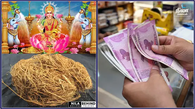 கடன் தொல்லைகள் நீங்கி வருமானம் பெருக வீட்டில் இந்த ஒரு பொருள் இருந்தால் மட்டும் போது!
