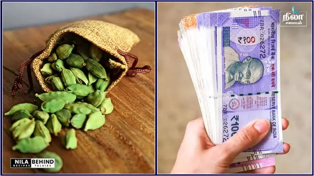 பணம் உங்கள் வீட்டை நோக்கி வருவதற்கு செய்ய வேண்டிய பரிகாரம்!!