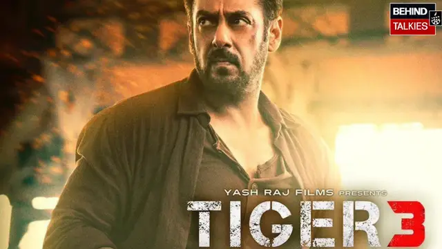 कतर और ओमान में Salman Khan के फैंस को लगा बड़ा झटका, बैन हुई ‘भाईजान’ की ‘टाइगर 3’! ये है वजह