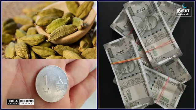 பணம் சம்பந்தப்பட்ட பிரச்சனைகள் தீர ஏலக்காய் பரிகாரம்!!